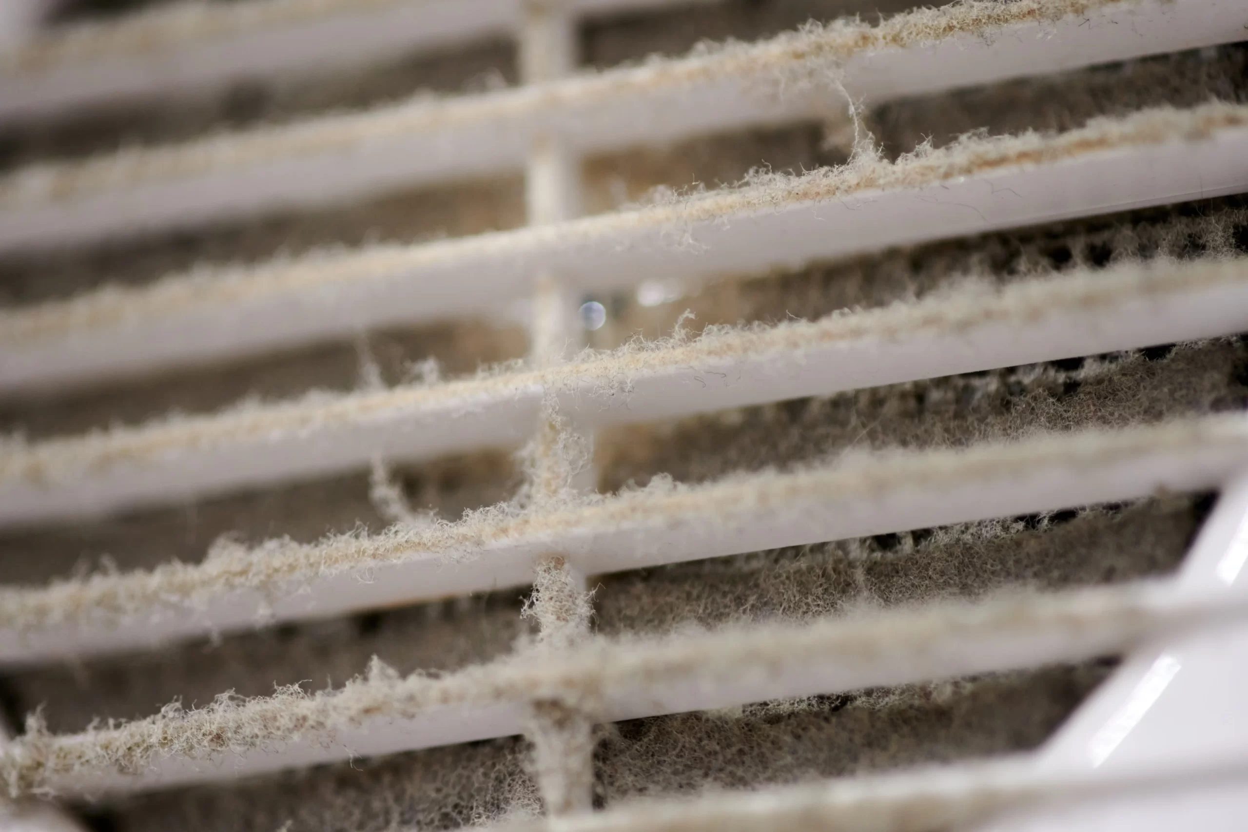 Clean HVAC evaporator coil after professional maintenance
