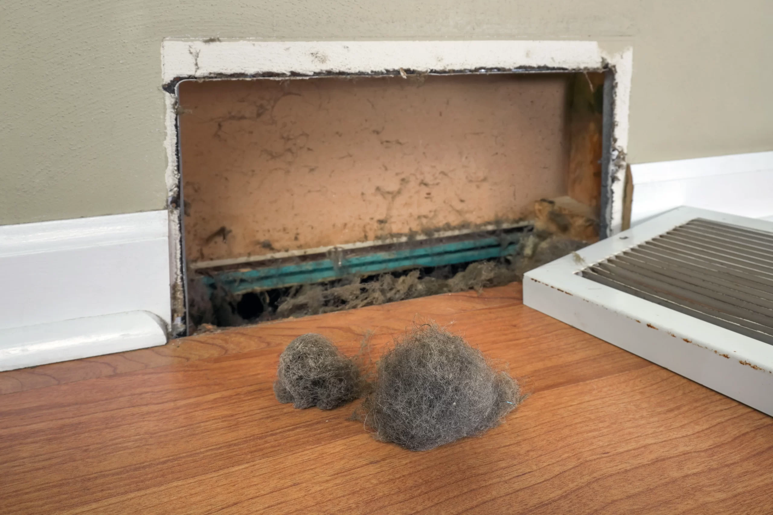 Close-up of mold and rodent debris inside residential ductwork