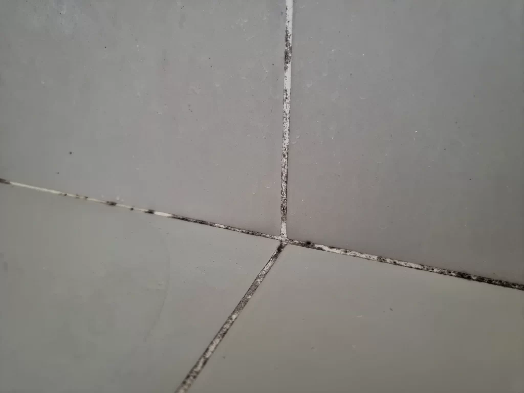 Tile & Grout Cleaning by Angelos Hard Floor & Duct Cleaning - slate-look tile cleaning