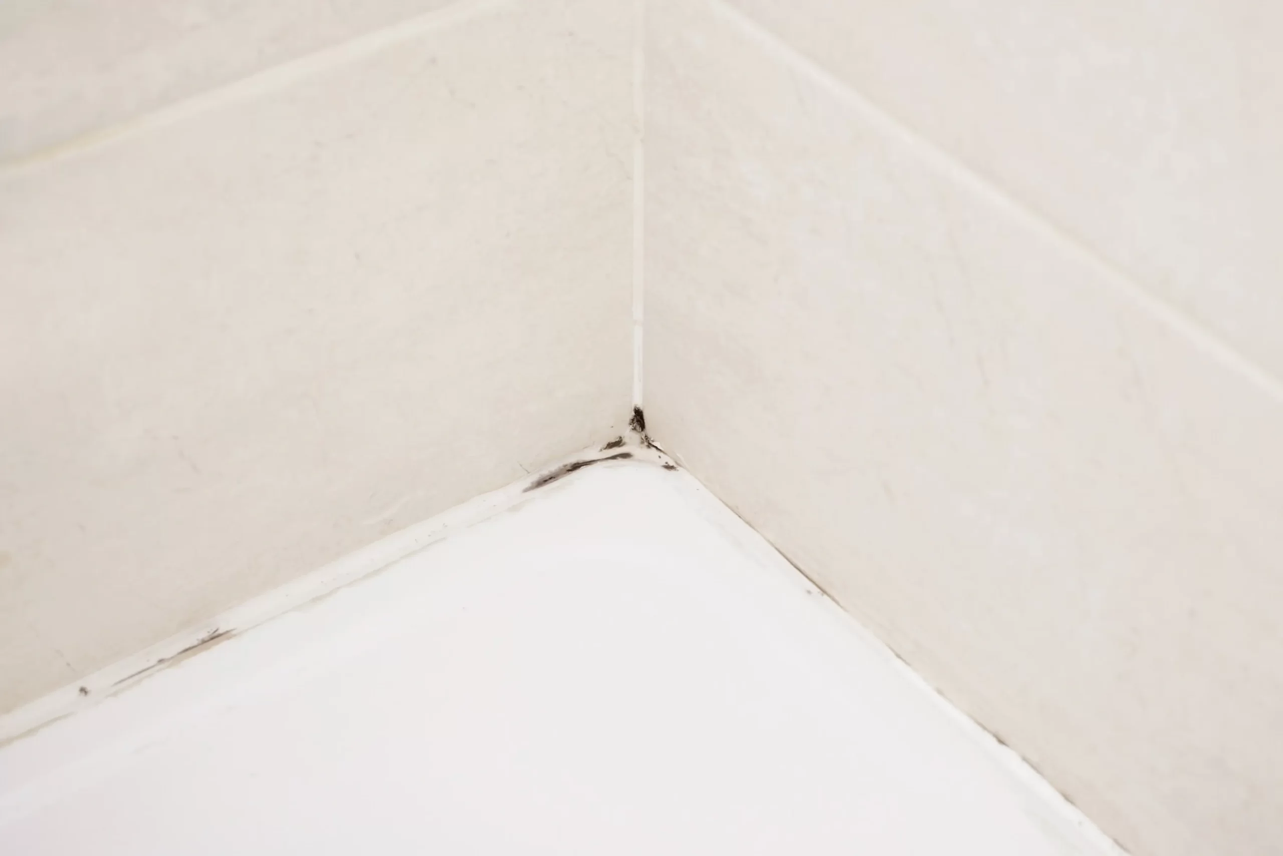 Tile & Grout Cleaning by Angelos Hard Floor & Duct Cleaning - travertine-look tile cleaning