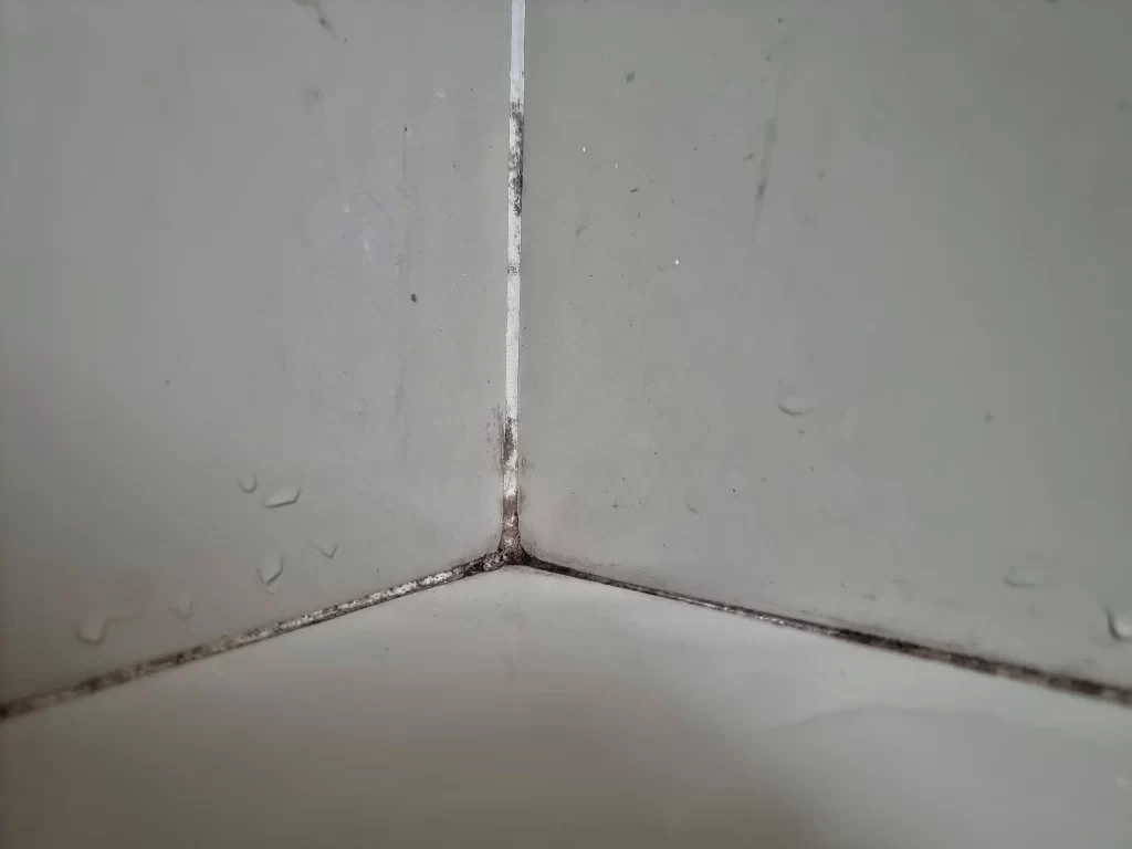 Tile & Grout Cleaning by Angelos Hard Floor & Duct Cleaning - tile stair tread cleaning