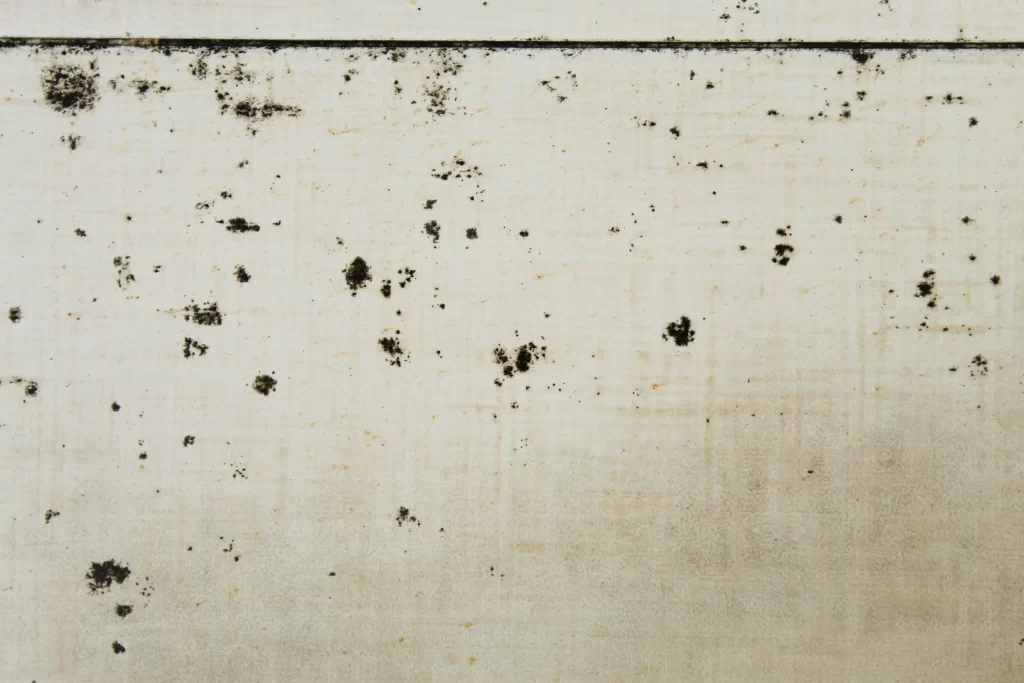 Tile & Grout Cleaning by Angelos Hard Floor & Duct Cleaning - rinse to remove residues