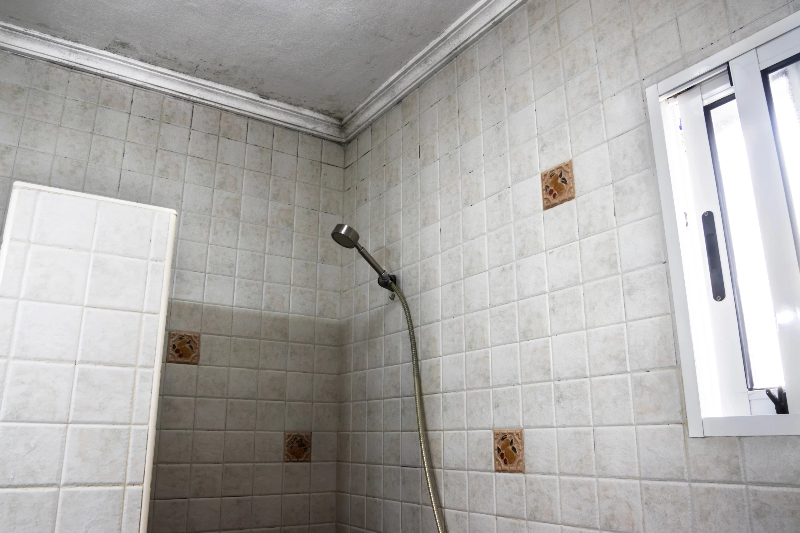 Tile & Grout Cleaning by Angelos Hard Floor & Duct Cleaning - wet extraction in progress