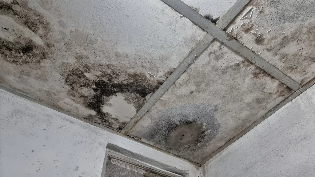 Tile & Grout Cleaning by Angelos Hard Floor & Duct Cleaning - before and after comparison