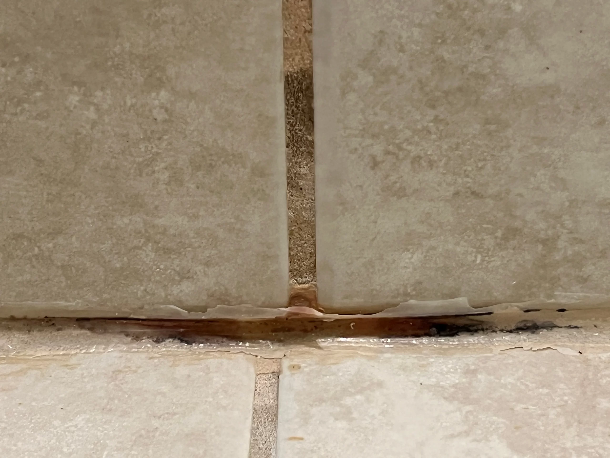 Tile & Grout Cleaning by Angelos Hard Floor & Duct Cleaning - church hall tile cleaning