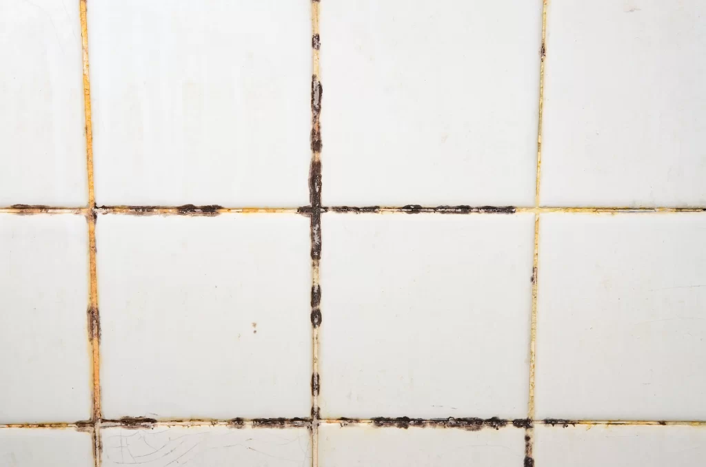 Tile & Grout Cleaning by Angelos Hard Floor & Duct Cleaning - government building tile cleaning