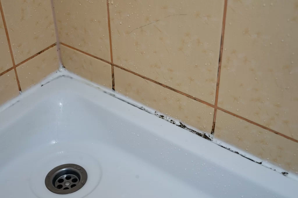 Tile & Grout Cleaning by Angelos Hard Floor & Duct Cleaning - annual tile deep cleaning