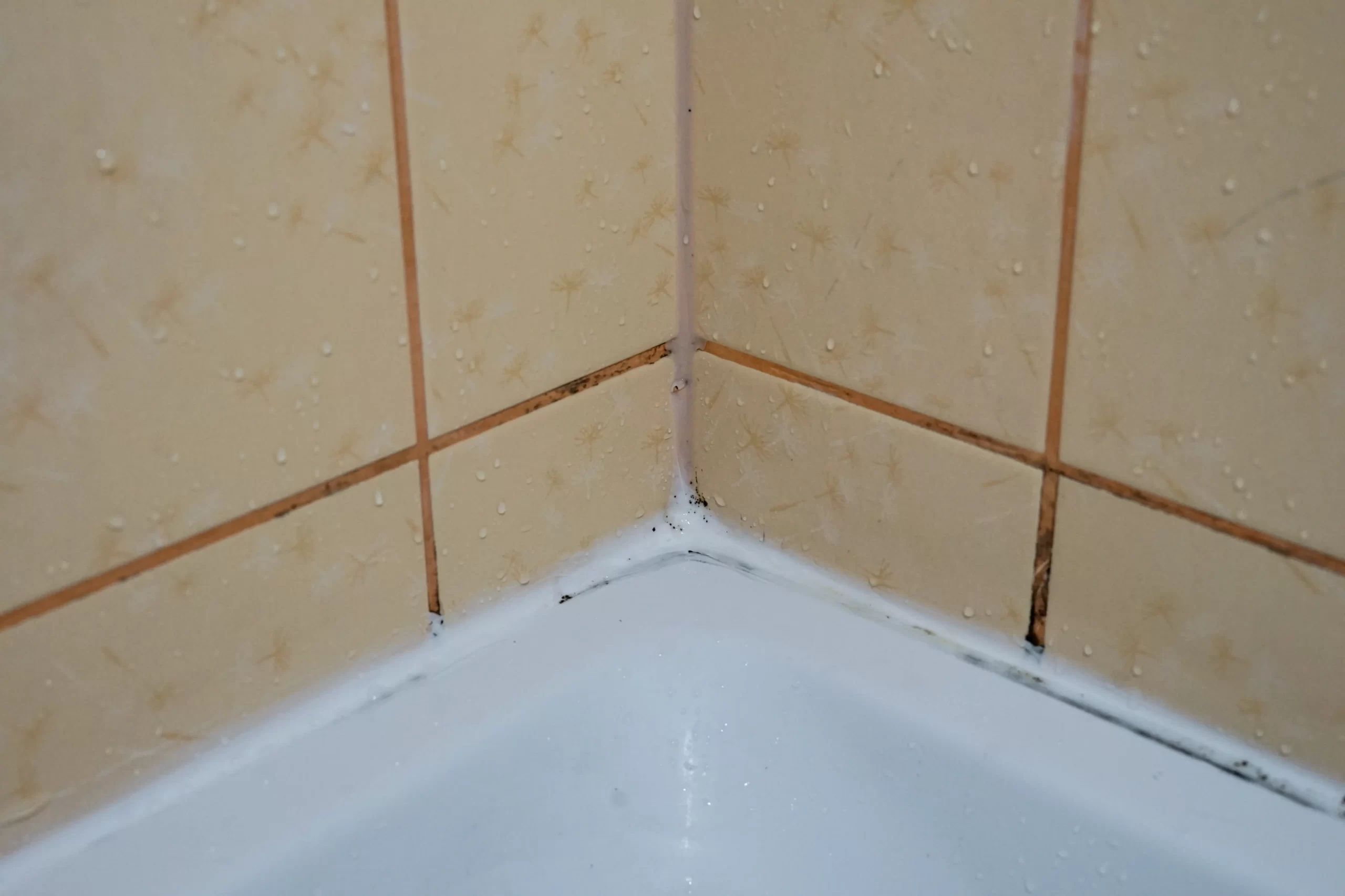 Tile & Grout Cleaning by Angelos Hard Floor & Duct Cleaning - seasonal tile cleaning service