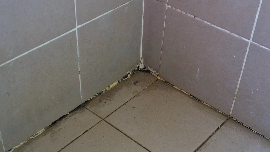 Tile & Grout Cleaning by Angelos Hard Floor & Duct Cleaning - rinse and extraction process
