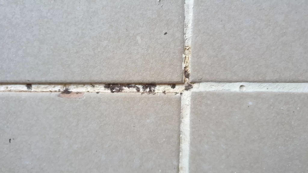 Tile & Grout Cleaning by Angelos Hard Floor & Duct Cleaning - baseboard tile cleaning