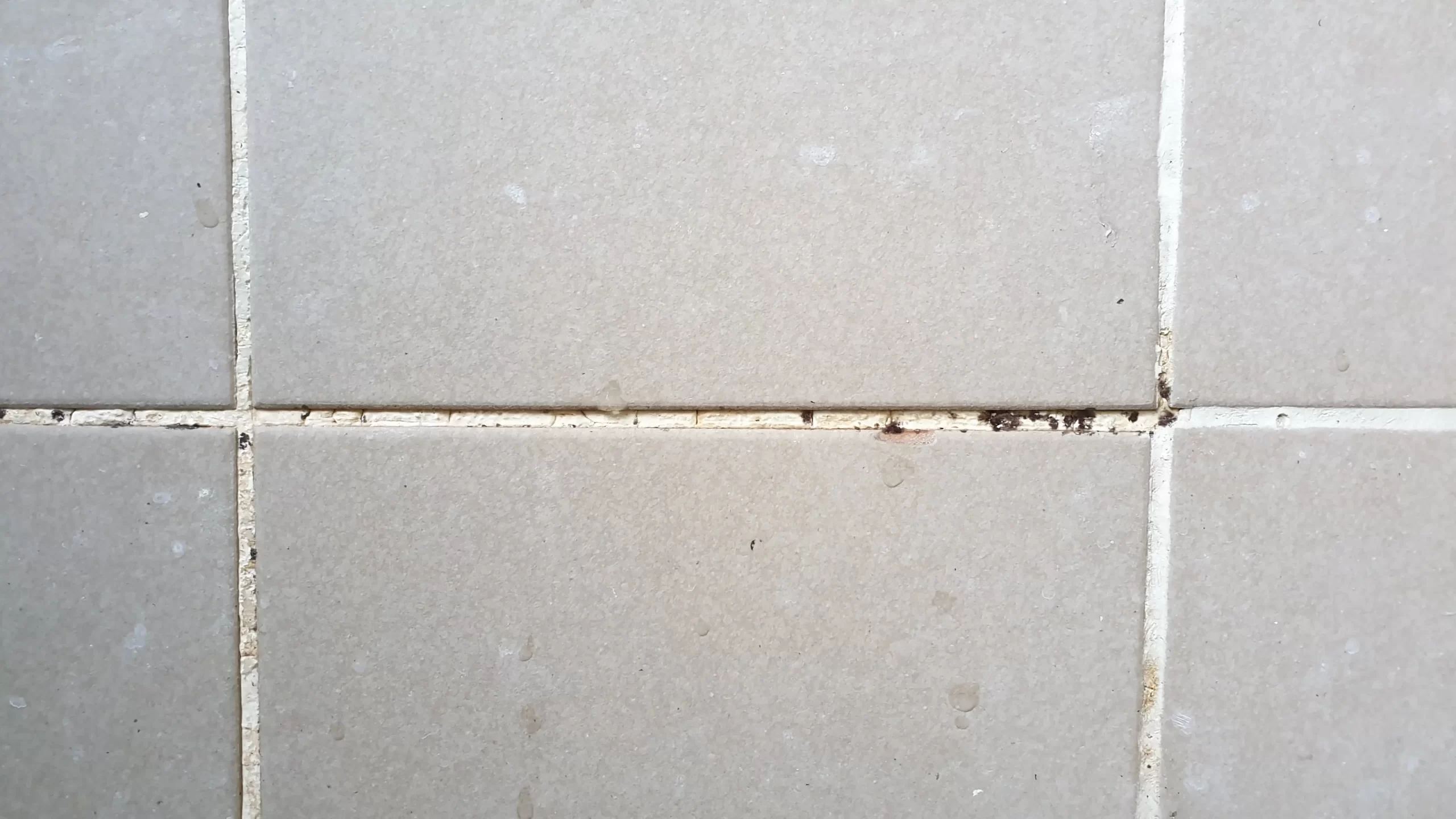 Tile & Grout Cleaning by Angelos Hard Floor & Duct Cleaning - wall tile cleaning