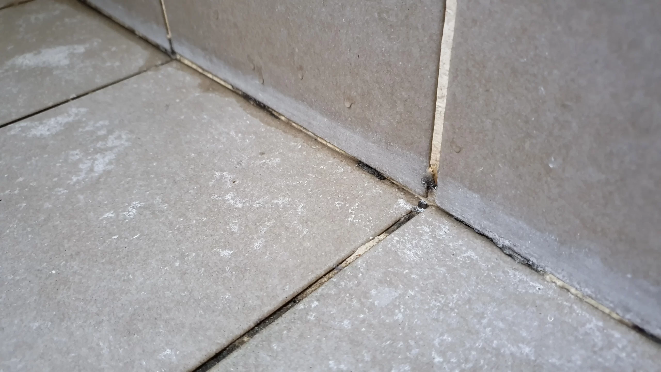 Tile & Grout Cleaning by Angelos Hard Floor & Duct Cleaning - maintenance cleaning program