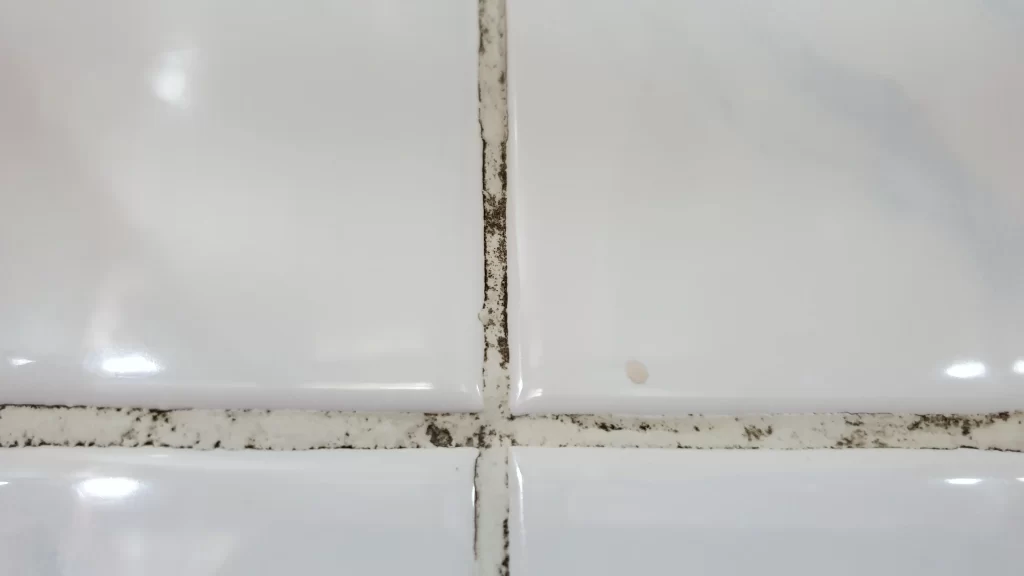 Tile & Grout Cleaning by Angelos Hard Floor & Duct Cleaning - kitchen backsplash cleaning