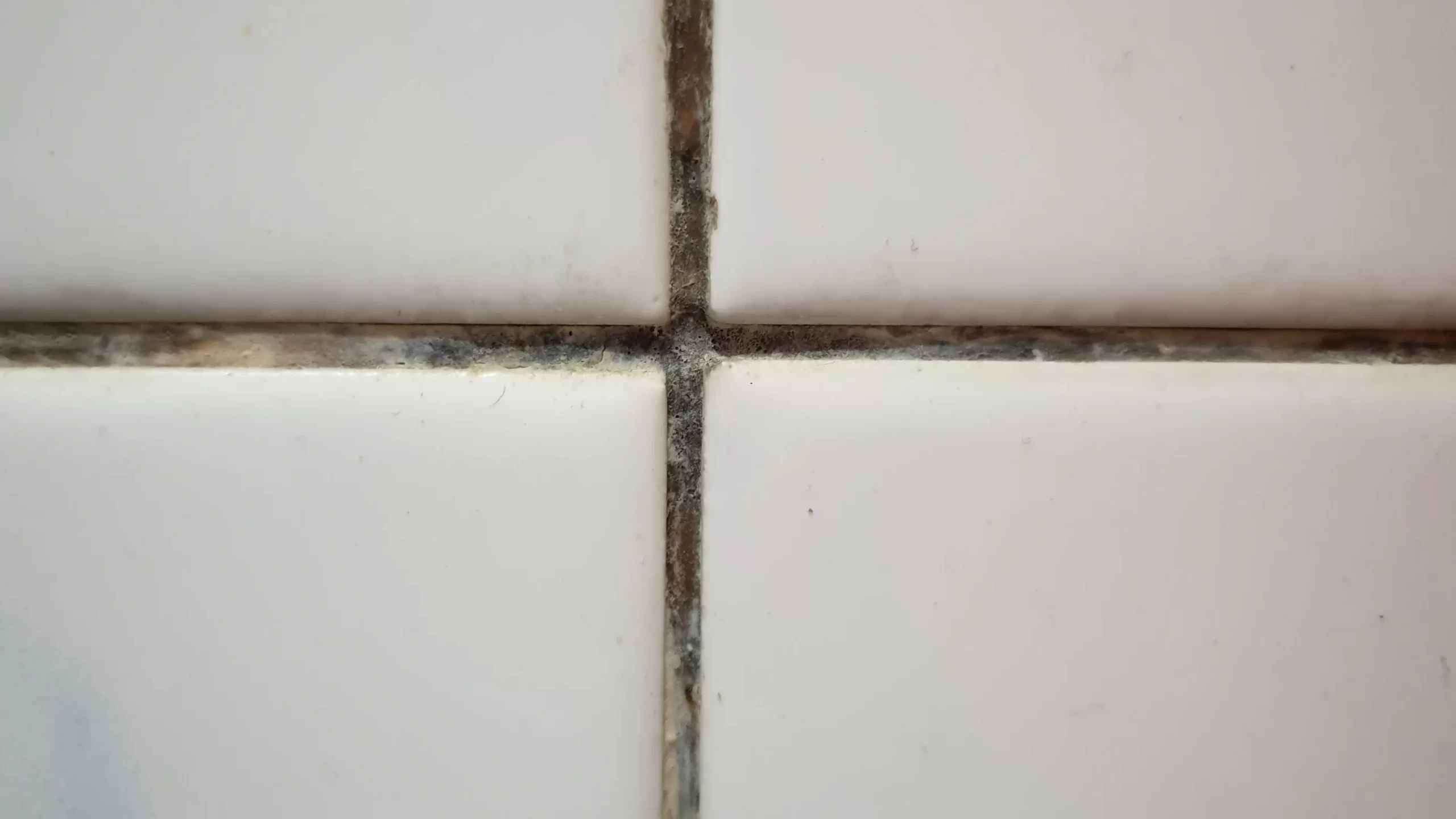 Tile & Grout Cleaning by Angelos Hard Floor & Duct Cleaning - shower surround cleaning