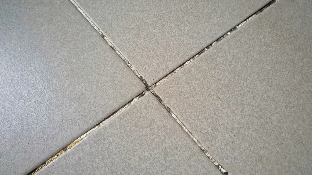 Tile & Grout Cleaning by Angelos Hard Floor & Duct Cleaning - bathroom sanitation focus