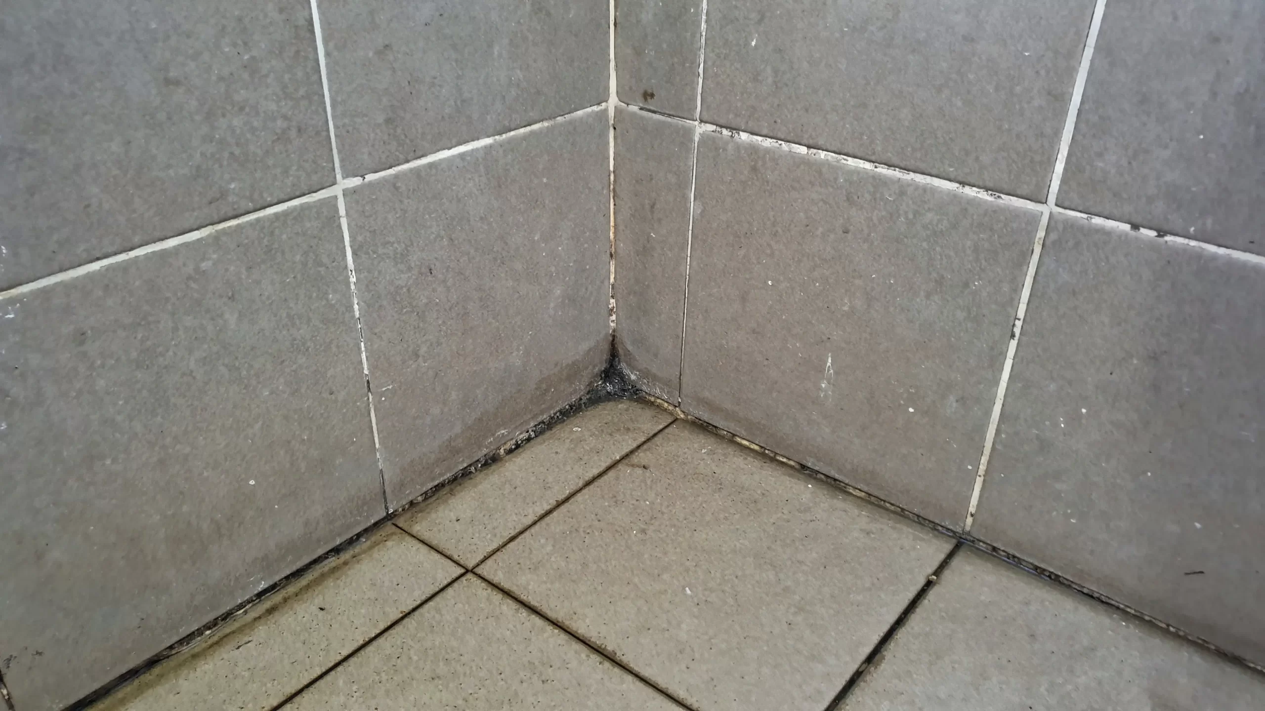Tile & Grout Cleaning by Angelos Hard Floor & Duct Cleaning - grout discoloration reduction